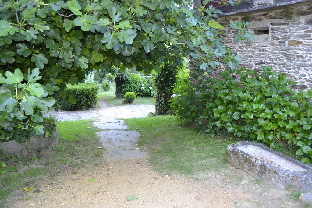 A Pena De Augasantas Guest House Oca de Abaixo Exterior photo